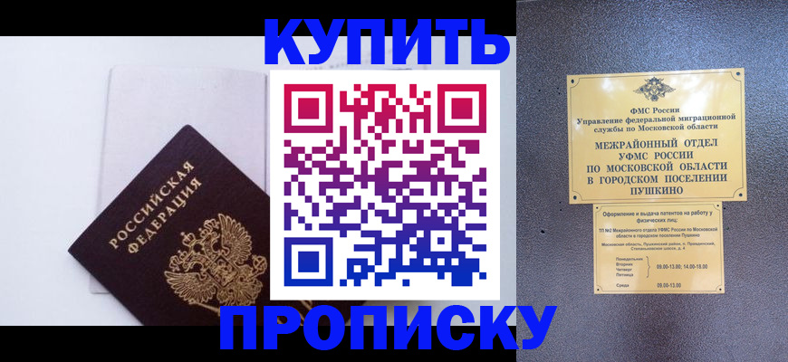 найти адрес прописки в Сольцах